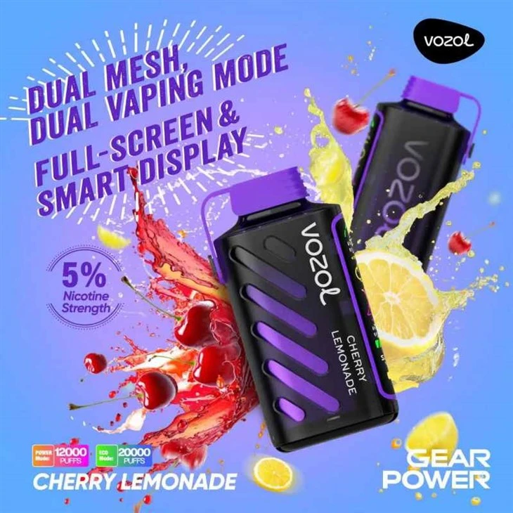 VOZOL GEAR POWER 20000