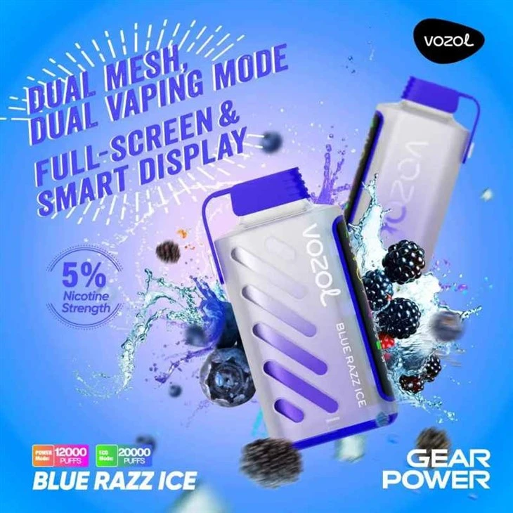 VOZOL GEAR POWER 20000