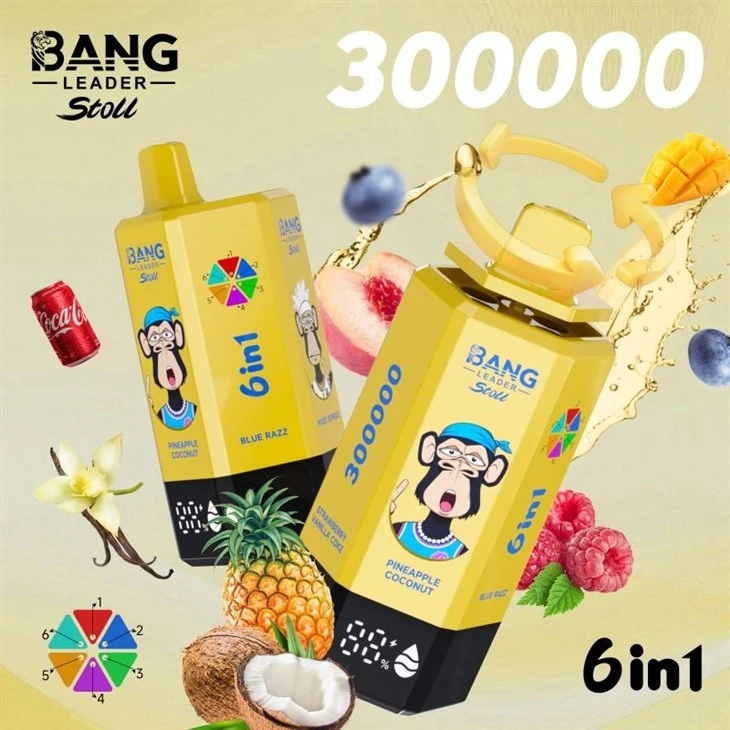 bang leader 300000 6