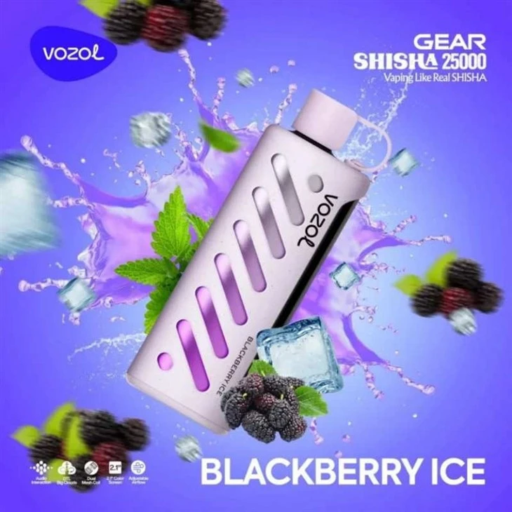 VOZOL GEAR SHISHA 25000 3
